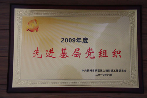 纵横国际集团被街道党工委授予“2009年度先进基层党组织”