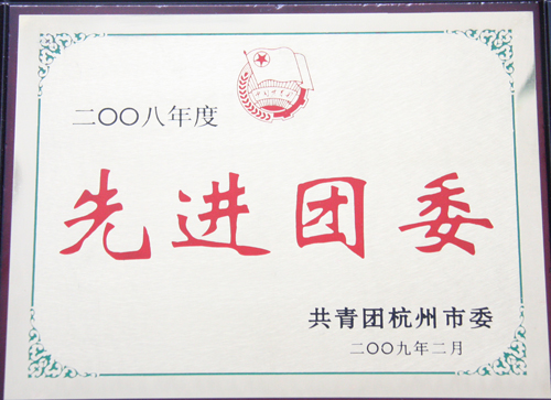 纵横国际团委被杭州市团委授予“2008年度杭州市先进团委”